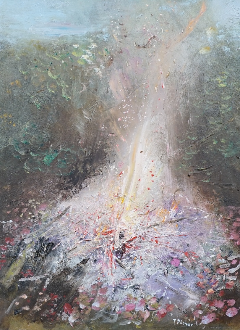 From the Studio of Fred Cuming. Terence Pilcher (20th. C), contemporary oil on board, ‘Bonfire’, signed, 27 x 20cm. Condition - good